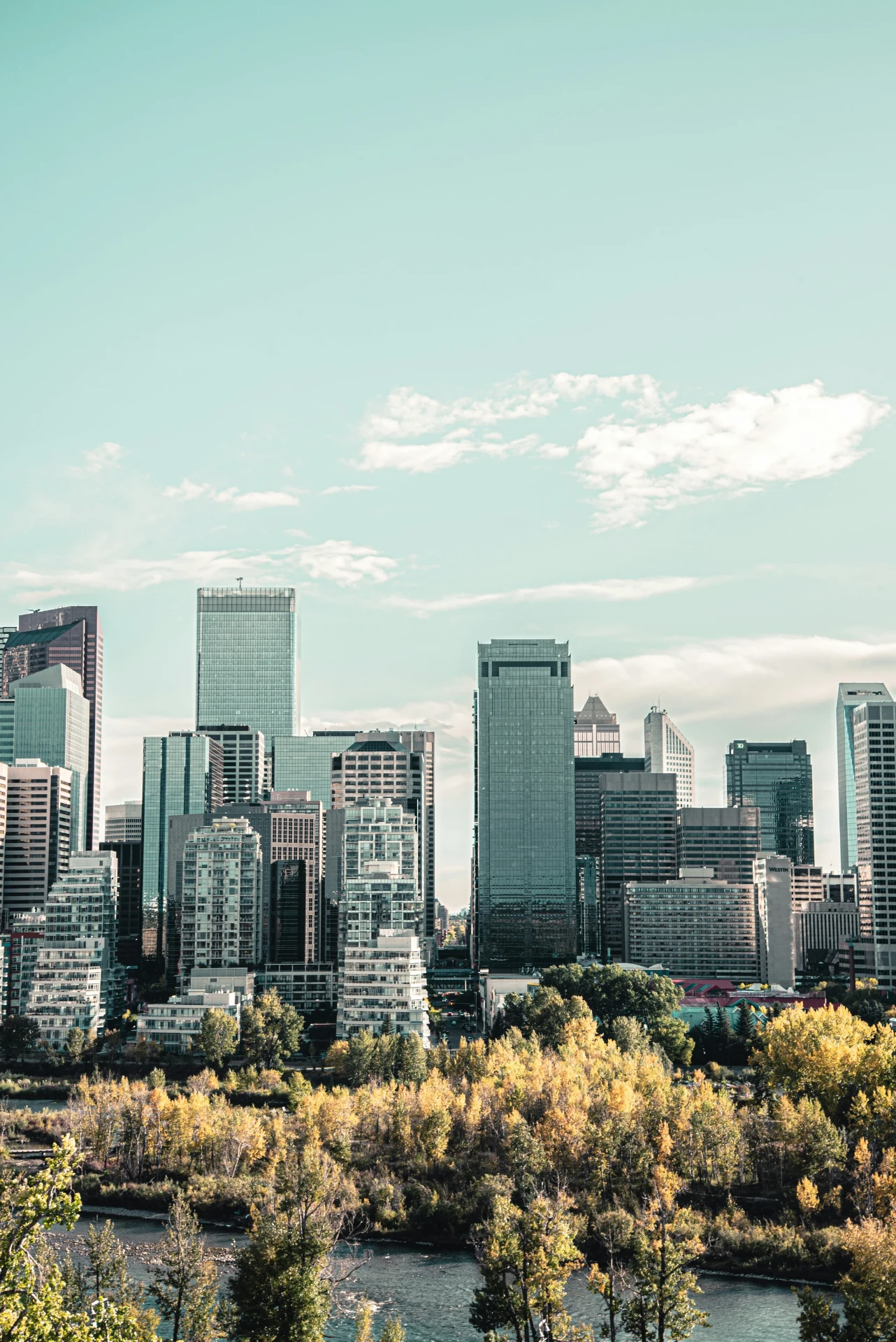 Calgary skyline