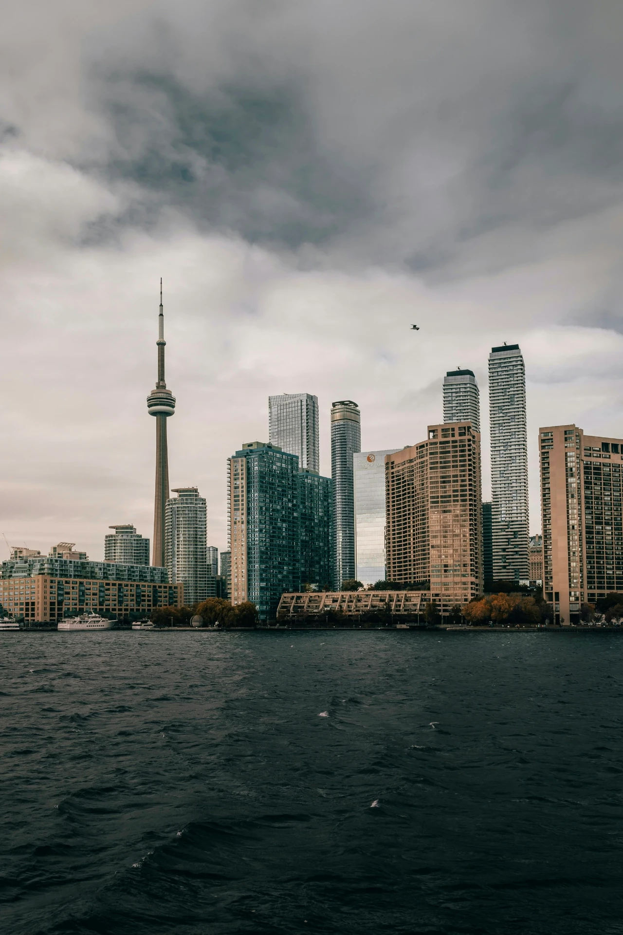 Toronto waterfront skyline